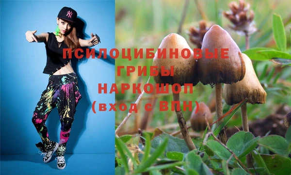 ECSTASY Алексеевка