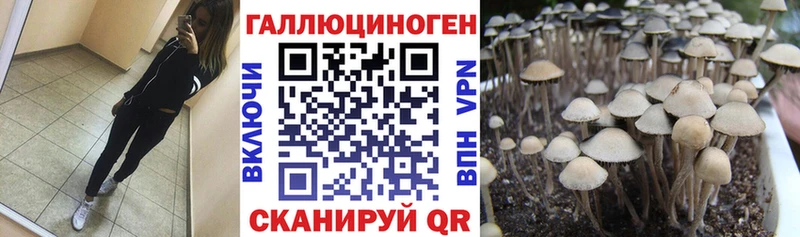 Купить  Белгород  Галлюциногенные грибы мухоморы 